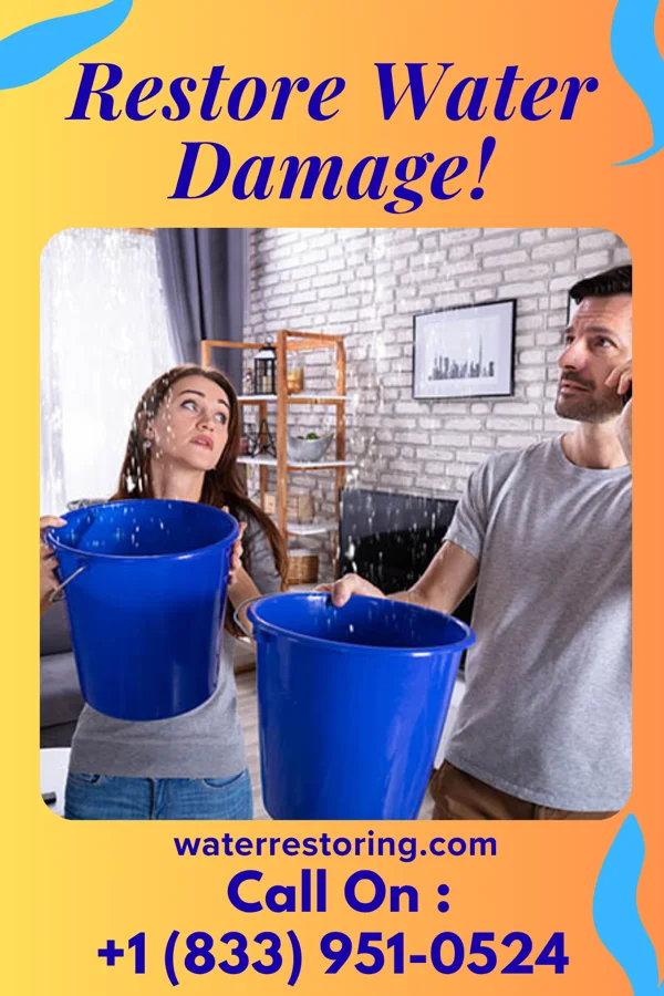 water restoration Local Water Damage Inc Stratford